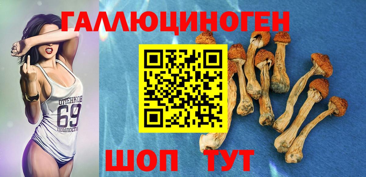 дарнет шоп  Галлюциногенные грибы MAGIC MUSHROOMS  Псилоцибиновые грибы Cubensis  Вход с VPN  Гусев 
