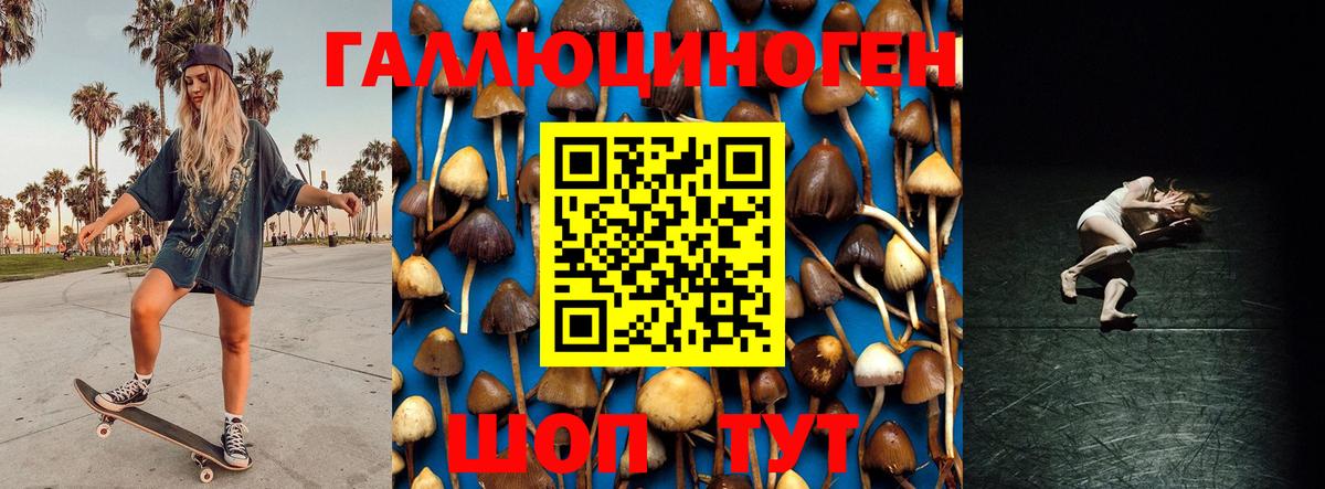 Галлюциногенные грибы Magic Shrooms Гусев